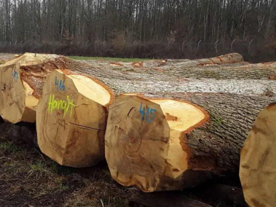 Сортиментна структура